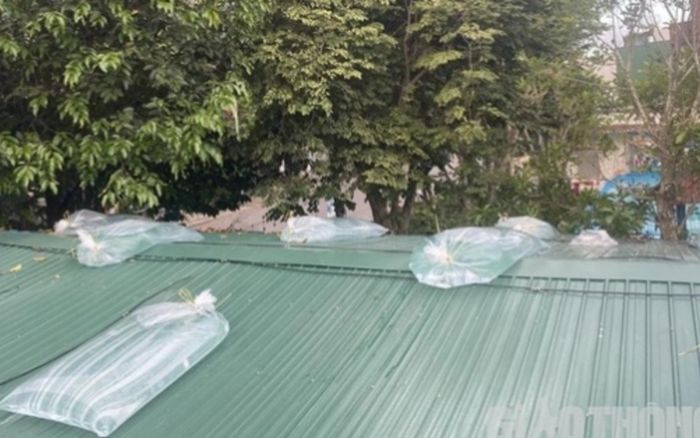 Trèo lên mái tôn chống bão số 5, chồng bị điện giật tử vong, vợ và con bị thương