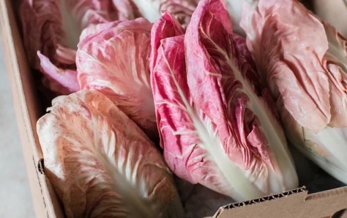 Loại rau đắt bậc nhất thế giới có vị đắng, trồng ở bóng tối sẽ có màu hồng độc lạ