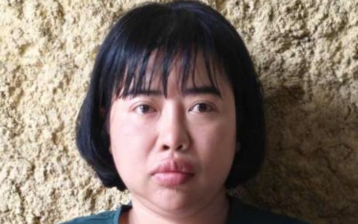 Công an Hà Nội tạm giữ hình sự Phan Hạnh Thương