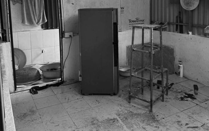 Công an Hưng Yên thông tin vụ bà nội sát hại 2 cháu trai