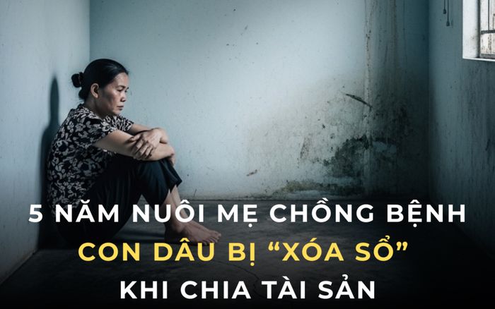 5 năm chăm mẹ chồng liệt giường, con dâu vẫn bị gạch tên khi chia tài sản