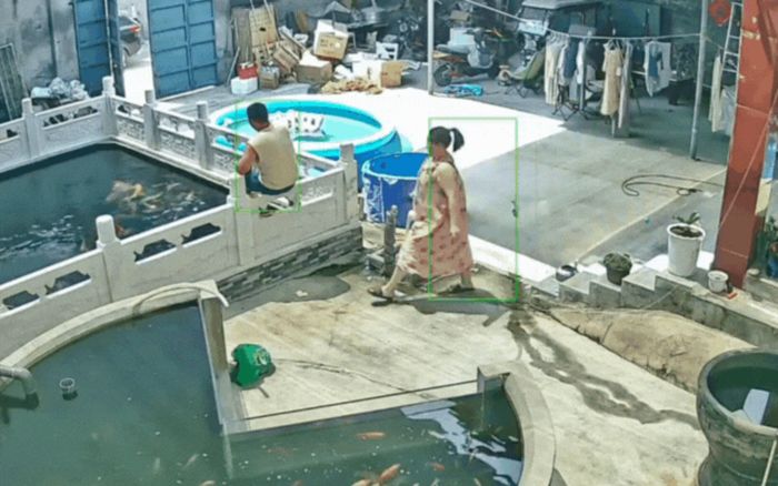 Vợ 'tung cước' đạp chồng xuống hồ cá Koi, lý do phía sau khiến dân mạng đồng loạt 'quay xe'