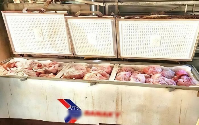 Phát hiện gần 1 tấn thịt heo nhiễm bệnh được cấp đông tại một hộ dân ở Nghệ An
