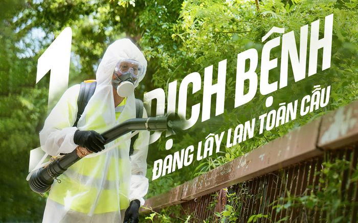 Cảnh báo khẩn: Một dịch bệnh đang lây lan toàn cầu, 240.000 ca nhiễm