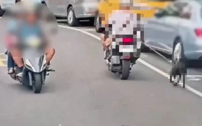 Con chó bị người đàn ông 81 tuổi chạy xe máy kéo lê 300 mét, lời khai gây phẫn nộ