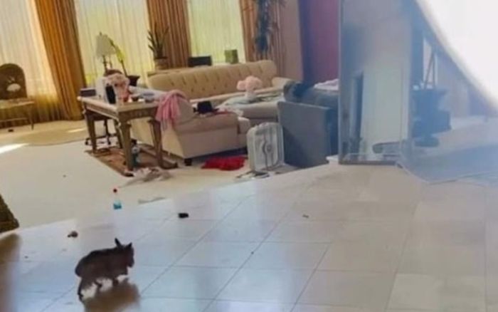 Nữ ca sĩ gây sốc khi sống trong căn phòng bừa bộn, đầy chất thải thú nuôi