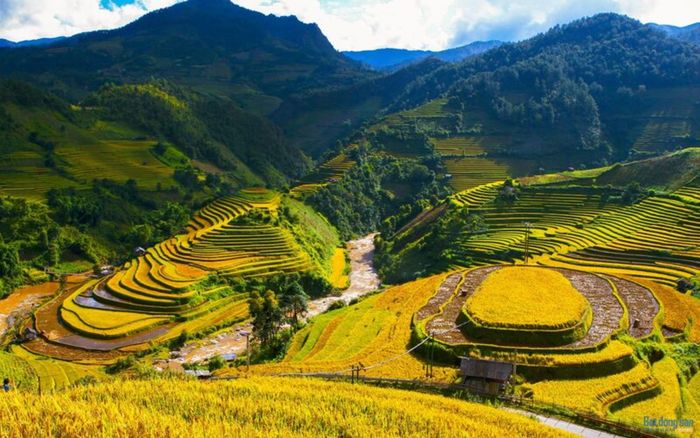 Các điểm check-in 'mùa vàng' siêu hot tại Mù Cang Chải