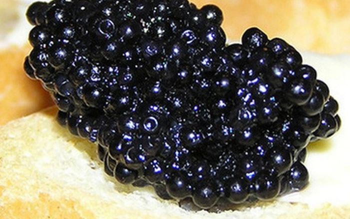 Món ăn nhìn tưởng thứ bỏ đi nhưng lại có giá 3 tỷ đồng/kg