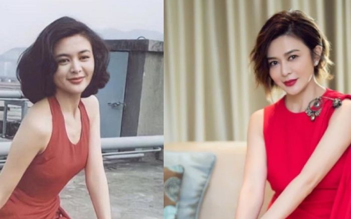 Đệ nhất mỹ nhân Hồng Kông 'nghiện' làm người thứ ba, hơn 60 tuổi vẫn bị tố giật chồng người