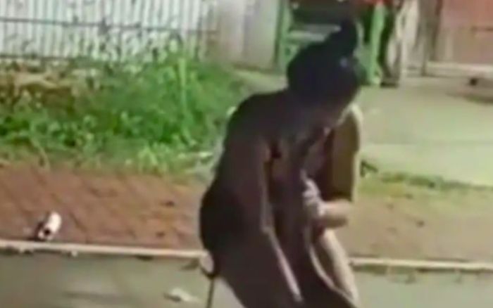 Cô gái bị con trăn cắn vào mặt không buông tại đám cưới, khách khứa kinh hãi chứng kiến