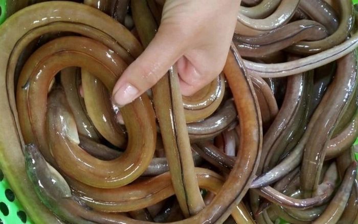 5 đặc sản vừa ăn vừa thử thách lòng can đảm