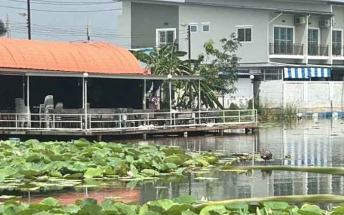 Nghe lời bạn nhậu thách thức bơi qua ao sen, nam thanh niên gặp sự việc thương tâm