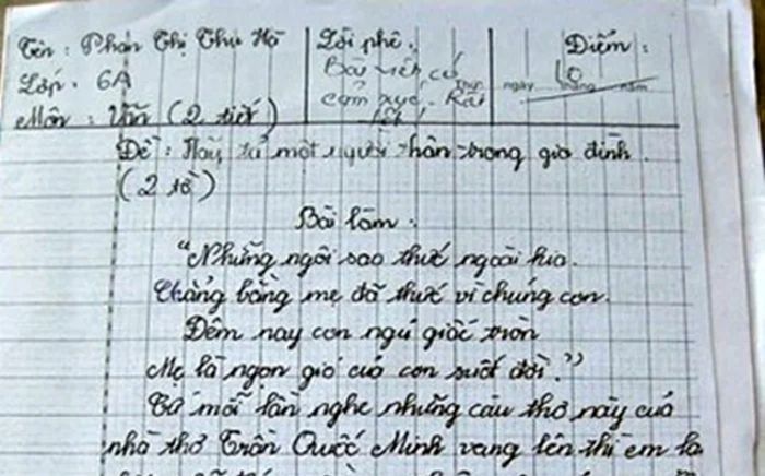 Bài văn tả mẹ đạt điểm 10, từng câu chữ chạm đến trái tim người đọc