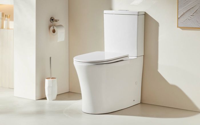 Quên xả toilet, bé trai và cả gia đình phát hiện mắc bệnh di truyền hiếm gặp