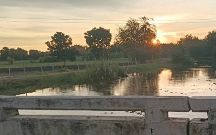 Tình nguyện viên đi vớt lục bình giúp người dân, sự việc sau đó khiến cả làng bàng hoàng