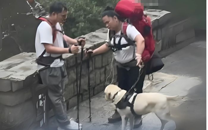 Phẫn nộ hành động của cặp đôi khiếm thị với con chó dẫn đường khi leo núi