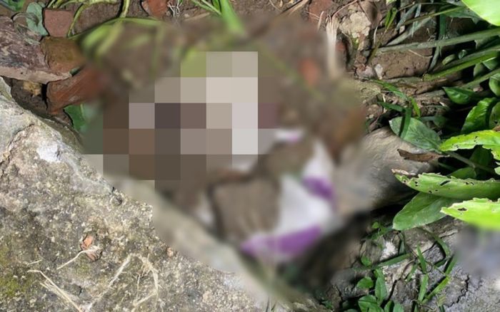 Vụ bé gái 8 tuổi tử vong bất thường ở Thanh Hoá: Bất ngờ về nghi phạm