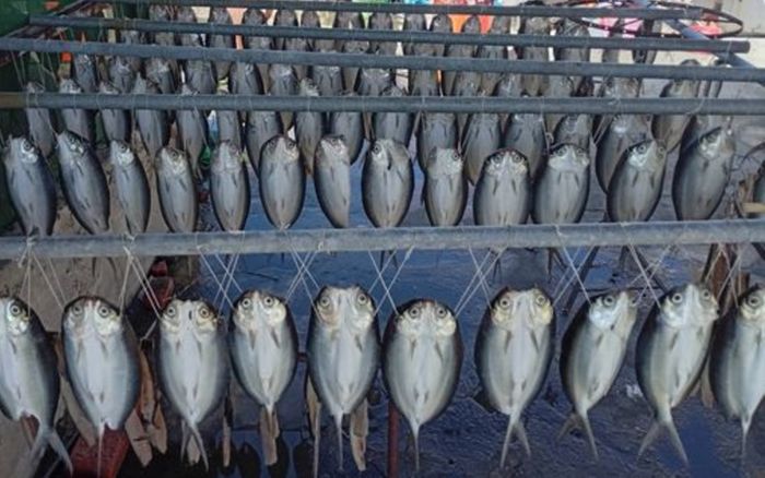 Chạy xe máy đến nhà trưởng làng, người dân hốt hoảng la hét khi nhìn thấy cảnh tượng trong sân