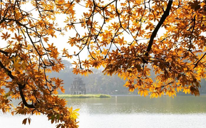 Hà Nội được vinh danh top điểm đến mùa thu đẹp nhất châu Á