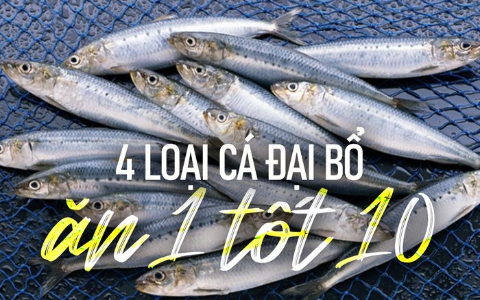 4 loại cá đại bổ ăn 1 tốt 10, ở chợ Việt Nam bán rất rẻ, gặp phải mua ngay