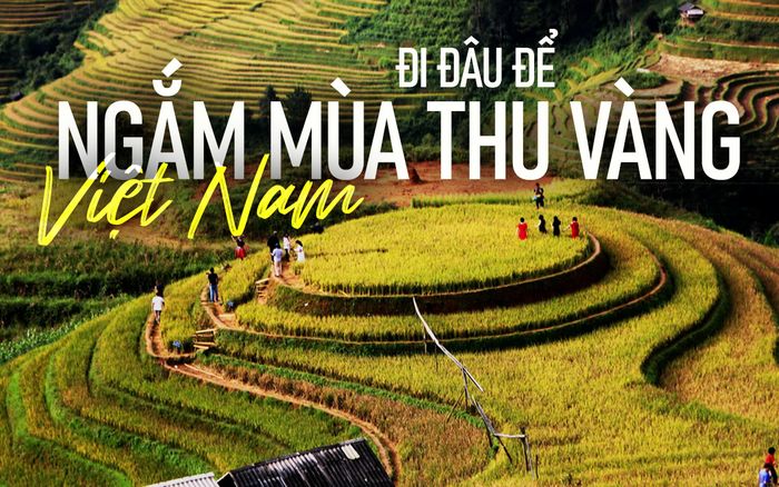 Đi đâu để ngắm mùa thu vàng Việt Nam?