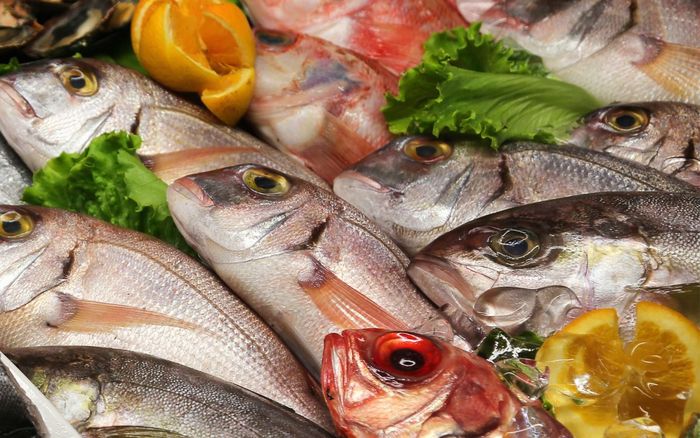 5 loại cá bổ dưỡng nên ăn vào mùa thu