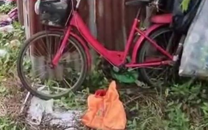 Con chó sủa 2 đêm liền, người dân lần theo dấu vết thì phát hiện cảnh tượng hãi hùng