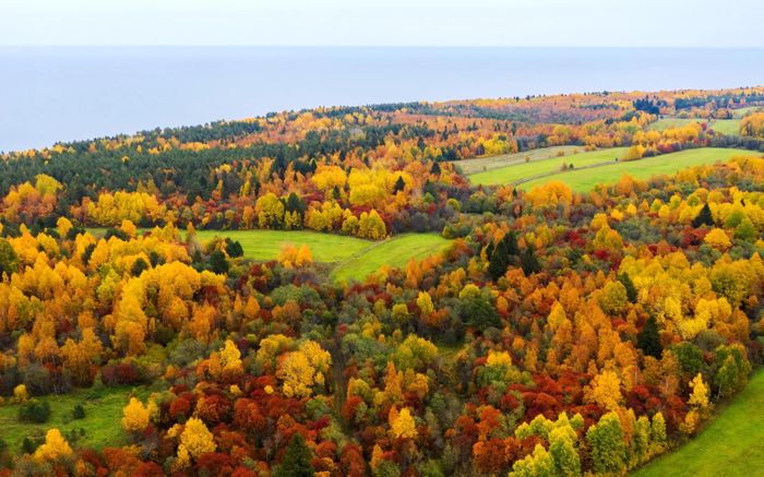 Mùa thu vàng như tranh vẽ của nước Nga