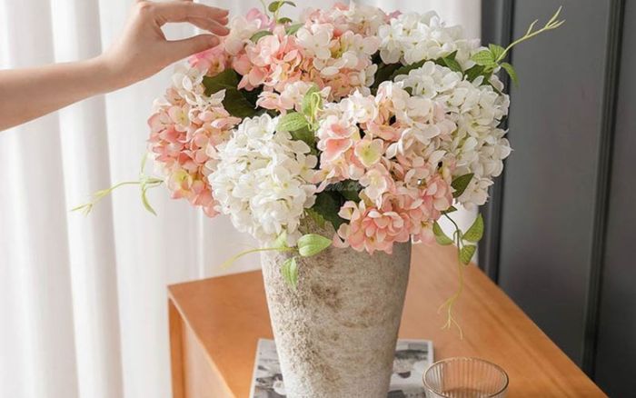 Những loài hoa quen thuộc nhưng có độc ít ai biết