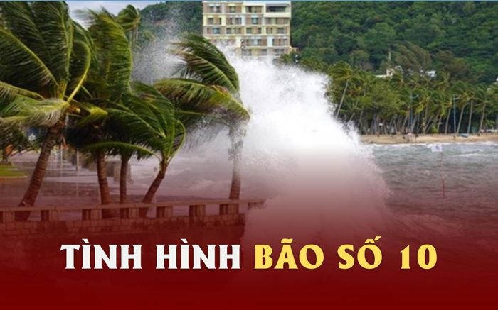 Tình hình 'nóng' về cơn bão số 10 (BUALOI)
