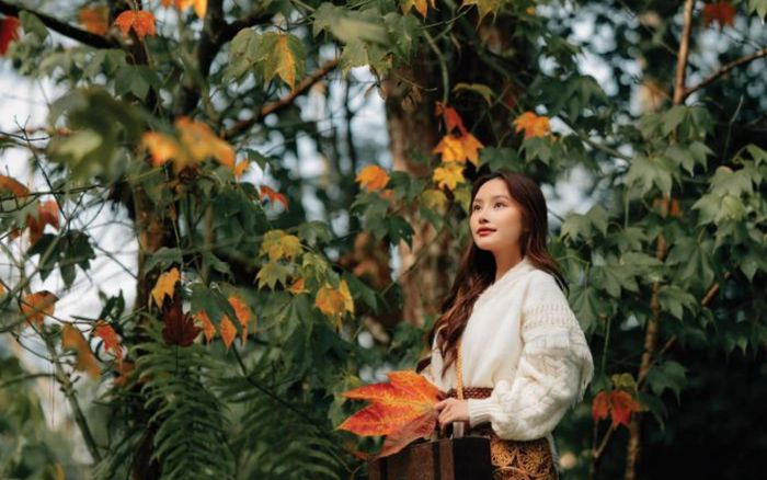 3 địa điểm lý tưởng để ngắm mùa lá đỏ đẹp nhất Việt Nam