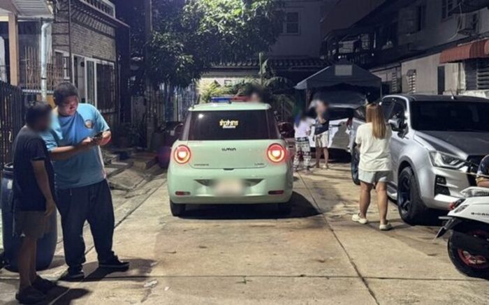 Mèo nuôi liên tục bị cắn chết, người dân bàng hoàng khi xem camera ghi lại hung thủ