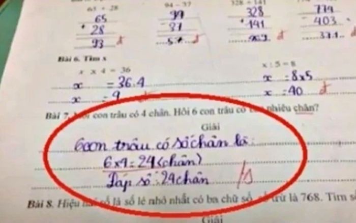 Bài toán '6 × 4 = 24' vẫn bị chấm sai: Cô giáo giải thích ra sao?