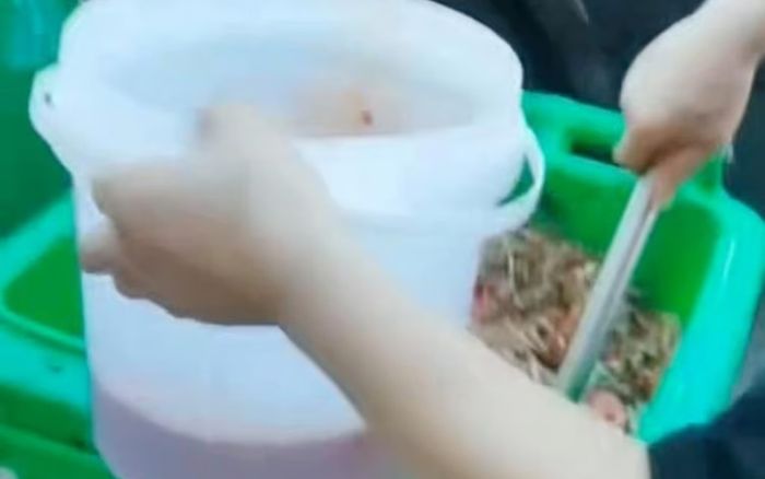 Xôn xao nhân viên nhà hàng lẩu cầm muỗng và xô nhựa múc dầu ăn từ thùng rác ven đường