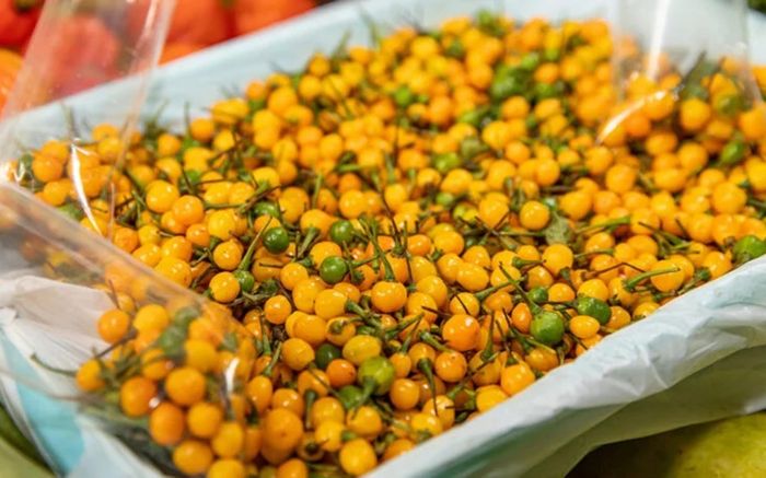 Loại quả bé tí đắt tiền nhất thế giới gần 1 tỷ/kg, ở Việt Nam đã trồng thành công