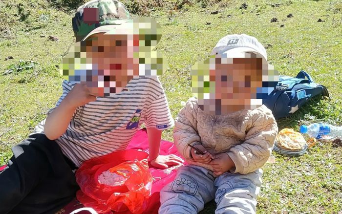 Hai anh em bị ong đốt nguy kịch, cha mẹ tức tốc về trong đêm nhưng không kịp nhìn con lần cuối