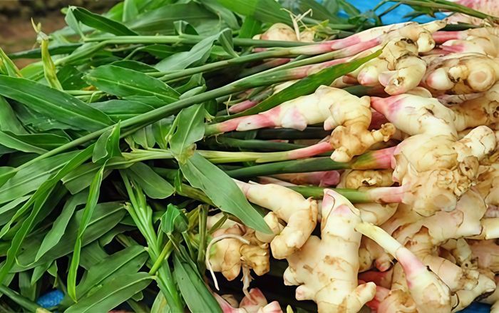 Loại củ giá rẻ tốt như nhân sâm, bán rất nhiều ở chợ Việt, gặp phải mua ngay