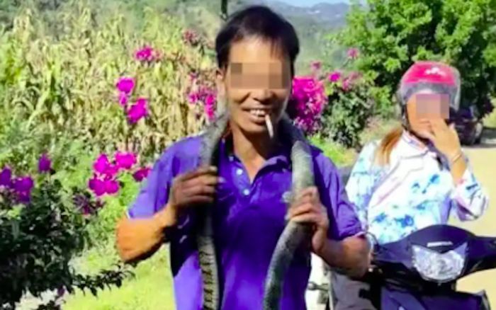 Tưởng con rắn không có độc nên cầm để quay video, người đàn ông bị cắn tử vong