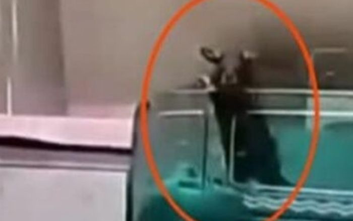 Y tá sơ suất để 2 đứa trẻ sơ sinh bị chuột cắn, tử vong sau đó