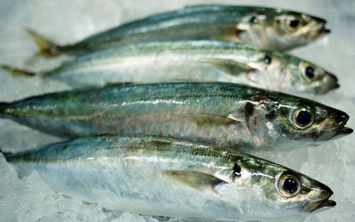 Loại cá tốt hơn cá hồi nhưng giá cực rẻ, giúp ngừa ung thư, gặp phải mua ngay