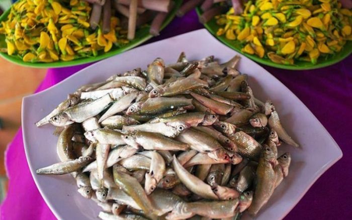 Loại cá dân dã miền Tây bất ngờ thành đặc sản, giá ngang ngửa cá hồi vẫn không đủ bán