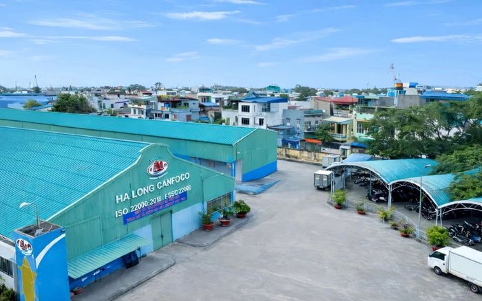 Bắt Tổng Giám đốc Công ty đồ hộp Hạ Long