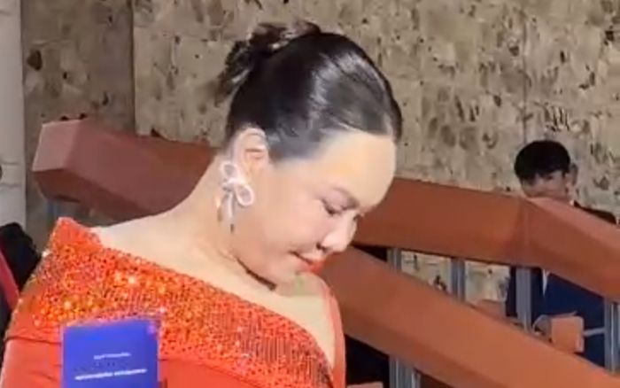 Ngỡ ngàng sự thật về Việt Hương được 'phơi bày'