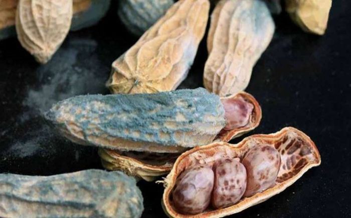 4 loại hạt dù thèm đến mấy cũng không nên sử dụng, kẻo rước hoạ vào thân