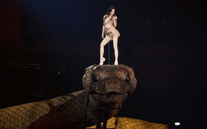 Nữ ca sĩ 'cưỡi' rắn biểu diễn bị yêu cầu hủy bỏ đêm nhạc