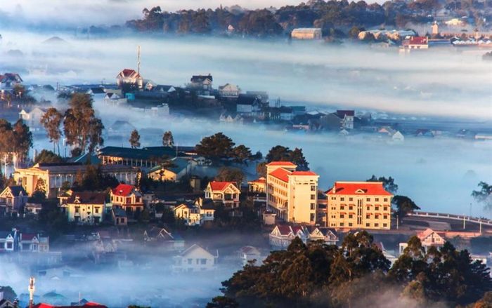 Những địa điểm ở gần TP.HCM cho du khách vui chơi dịp Tết Nguyên đán 2026