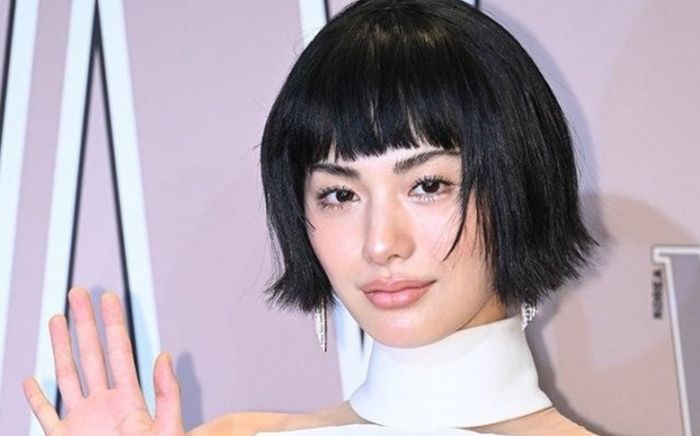 Kết quả vụ diễn viên Nana bị kẻ trộm tố gây thương tích