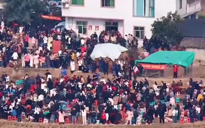 Thanh niên mổ lợn làm tiệc ăn mừng, 50 nghìn người đến dự gây 'thất thủ'