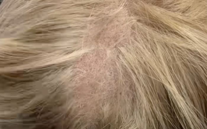 Đi làm tóc, cô gái khiến nhân viên bàng hoàng khi vén tóc để kiểm tra