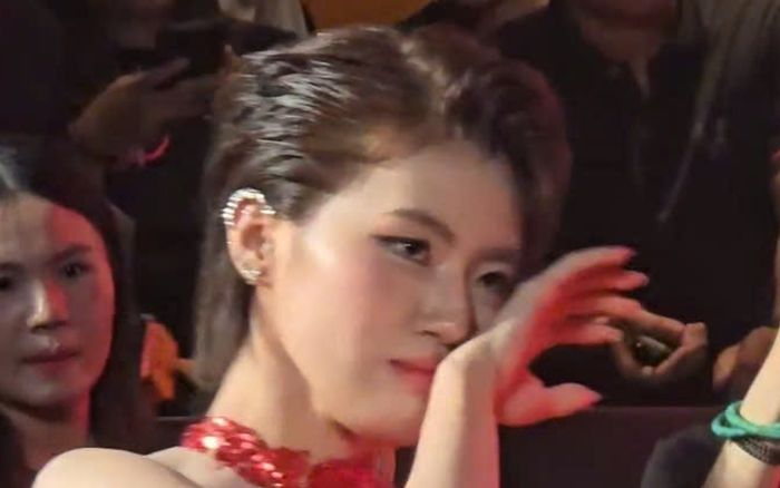 Pháo cầu xin khán giả